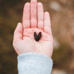 I Gave My Heart To A Woman