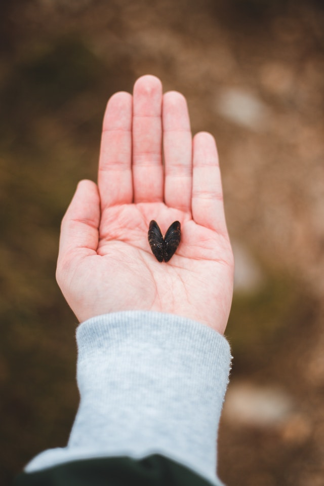 I Gave My Heart To A Woman