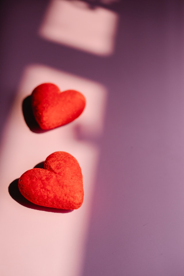 Never Give All The Heart